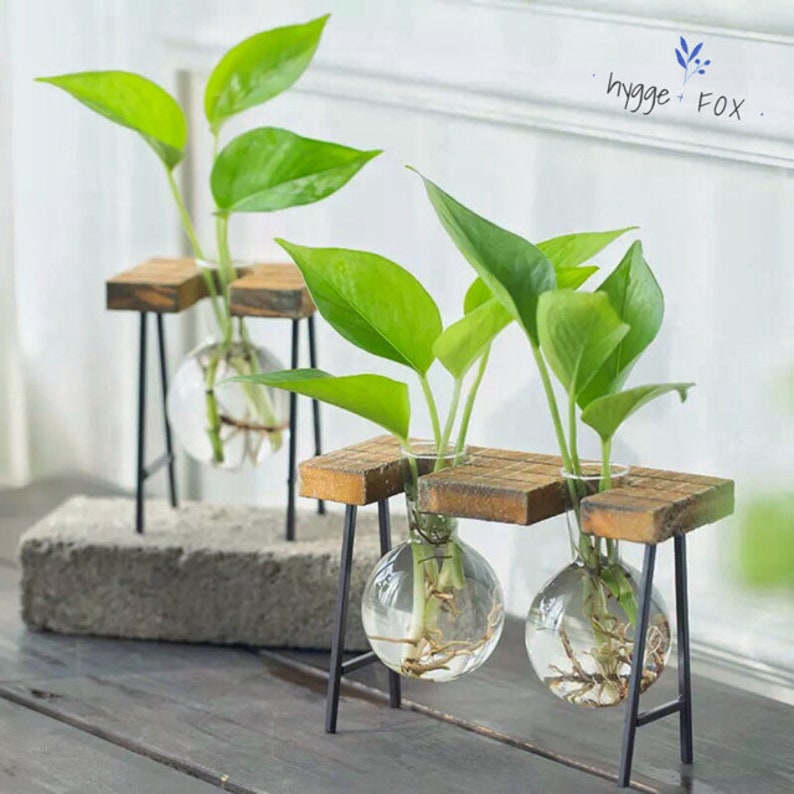 Simple Glass Vase Wood Set Water Plant Glass Vase Home Etsy