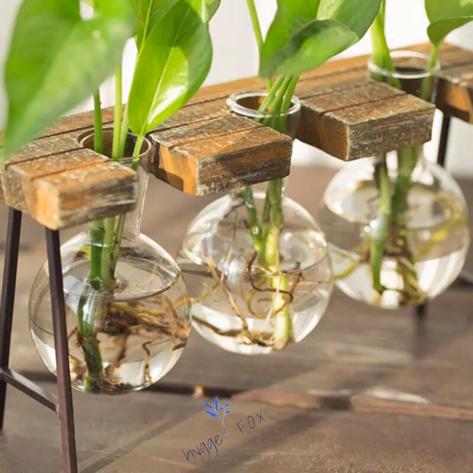 Simple Glass Vase Wood Set Water Plant Glass Vase Home Etsy