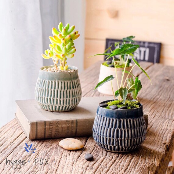 Set Of 2 Japanese Style Ceramic Planter Succulent Planter Ceramic Planter Home Decor Mini Pot Office Decor Cactus Planter Gift Idea