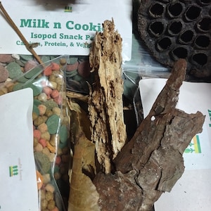 Isopod Mystery Box - Etsy