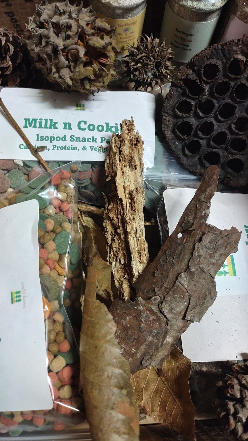 Isopod Mystery Box - Etsy