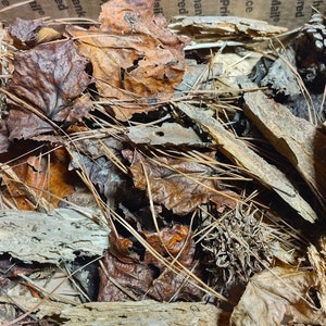 Isopod Substrate - Forest Trash