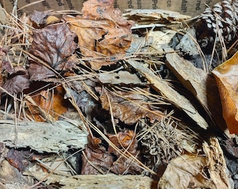 Isopod Substrate - Forest Trash