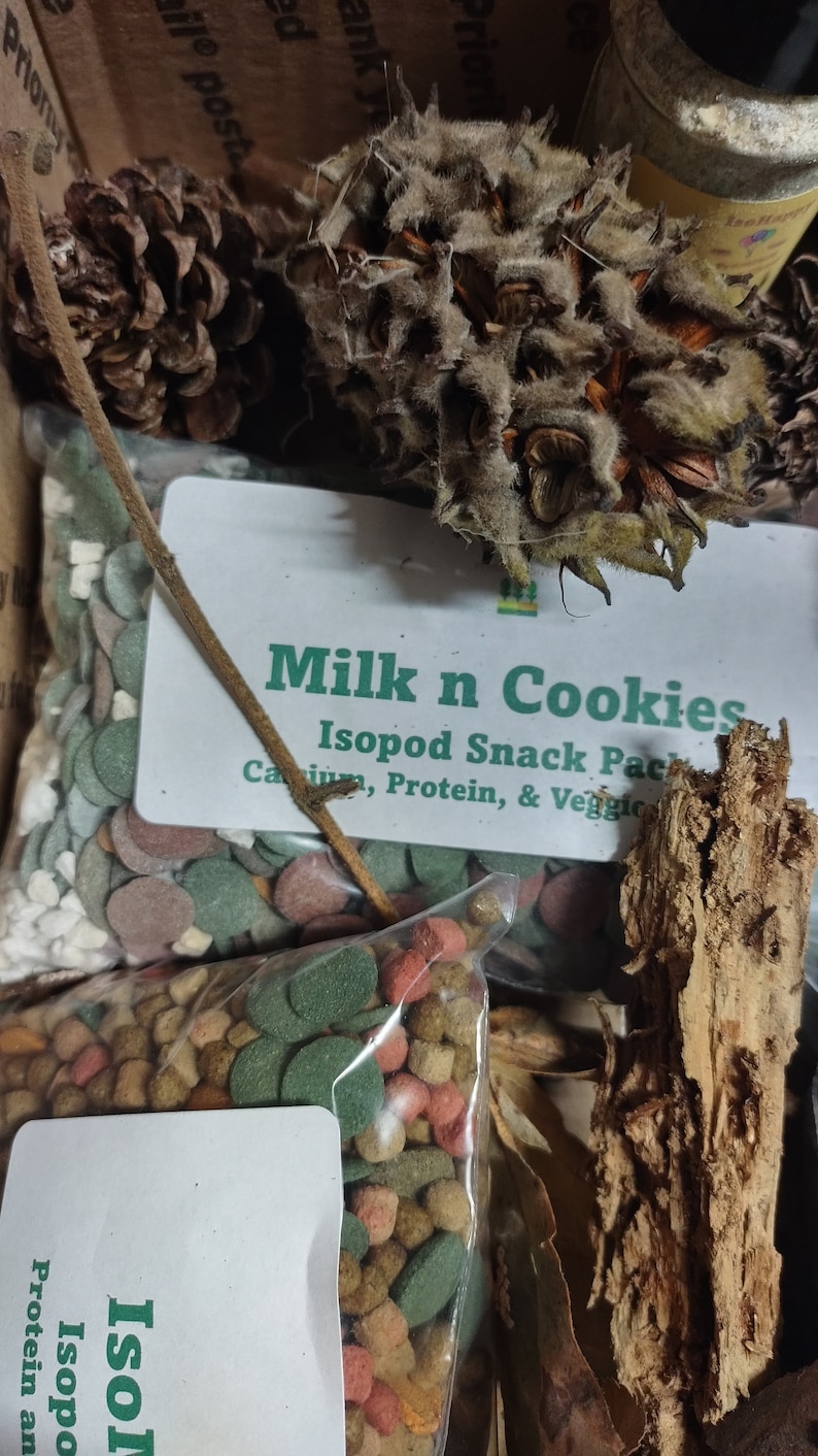 Isopod Mystery Box - Etsy