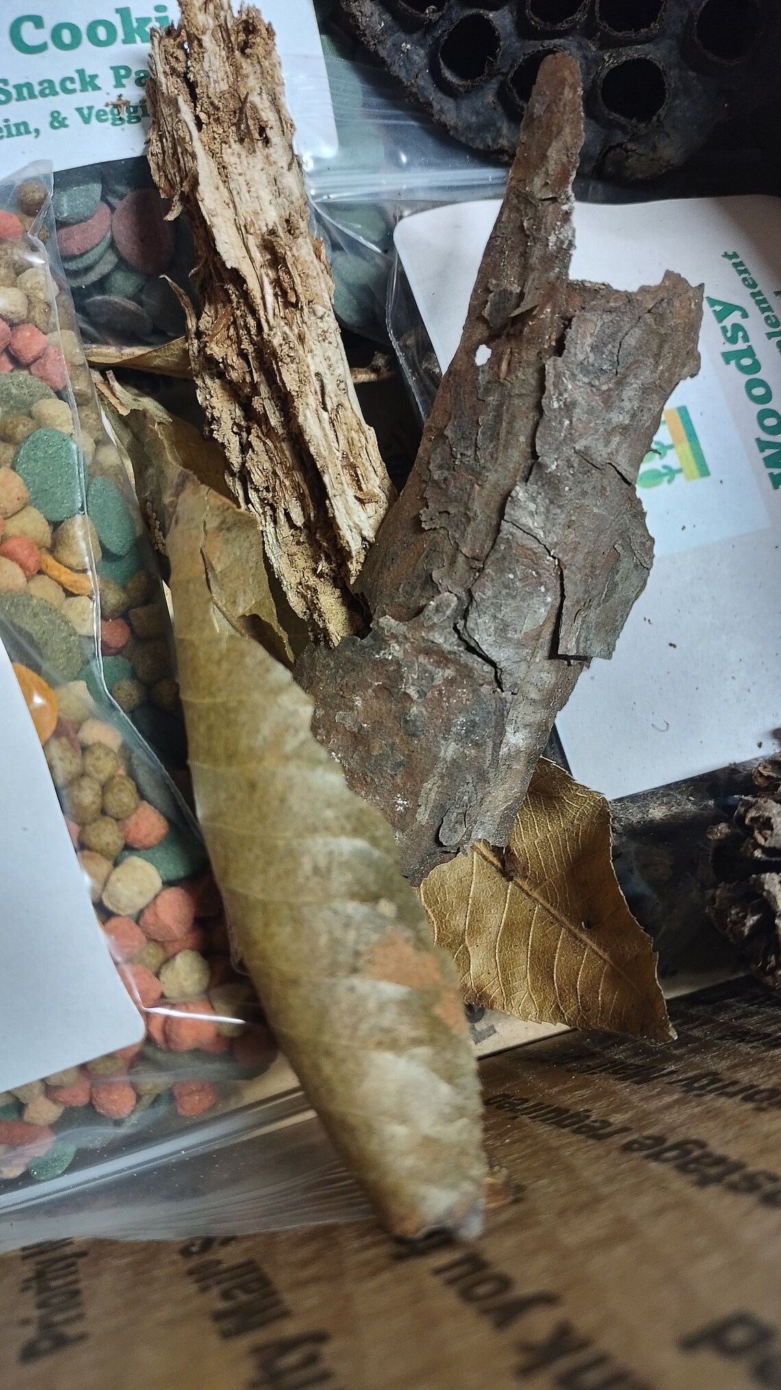 Isopod Mystery Box - Etsy