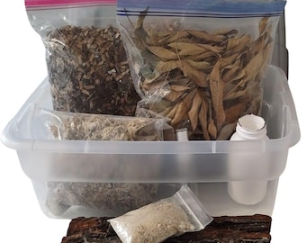 Isopod 12 Quart Isopod Breeding Kit