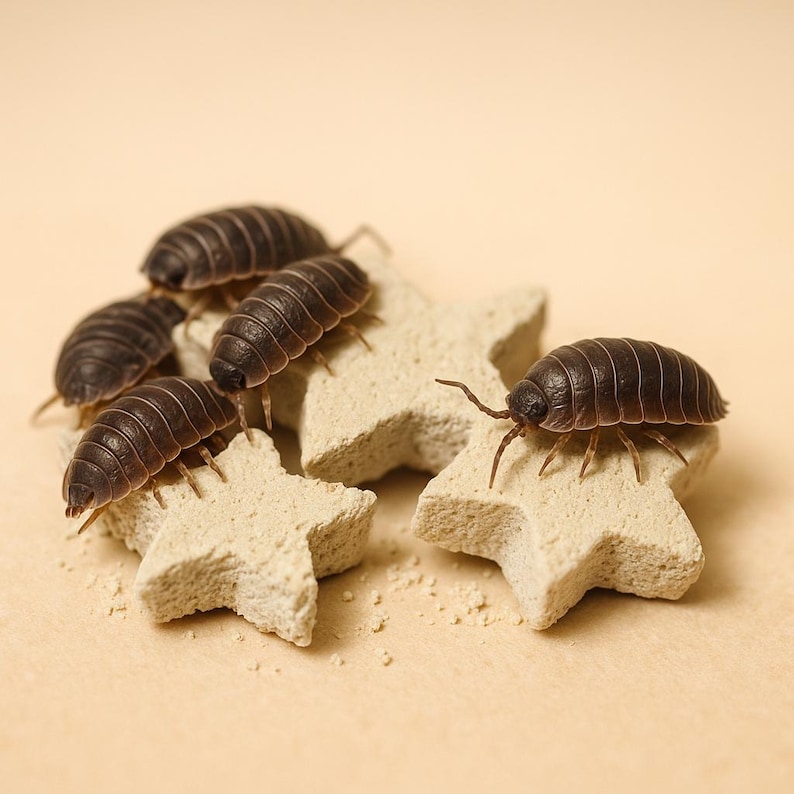 Isopod Supplements - Calcium "Stars" Multiflavored image 1