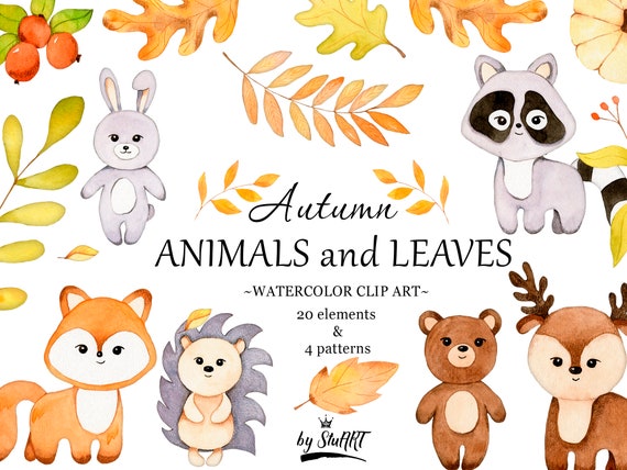 Download Woodland Animals Clipart Fall Clipart Woodland Creatures Etsy