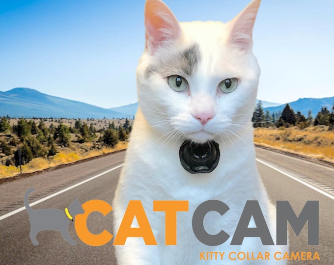 Cat Collar Camera Pet Video Camera for Cats Etsy