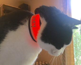 collars for long haired cats