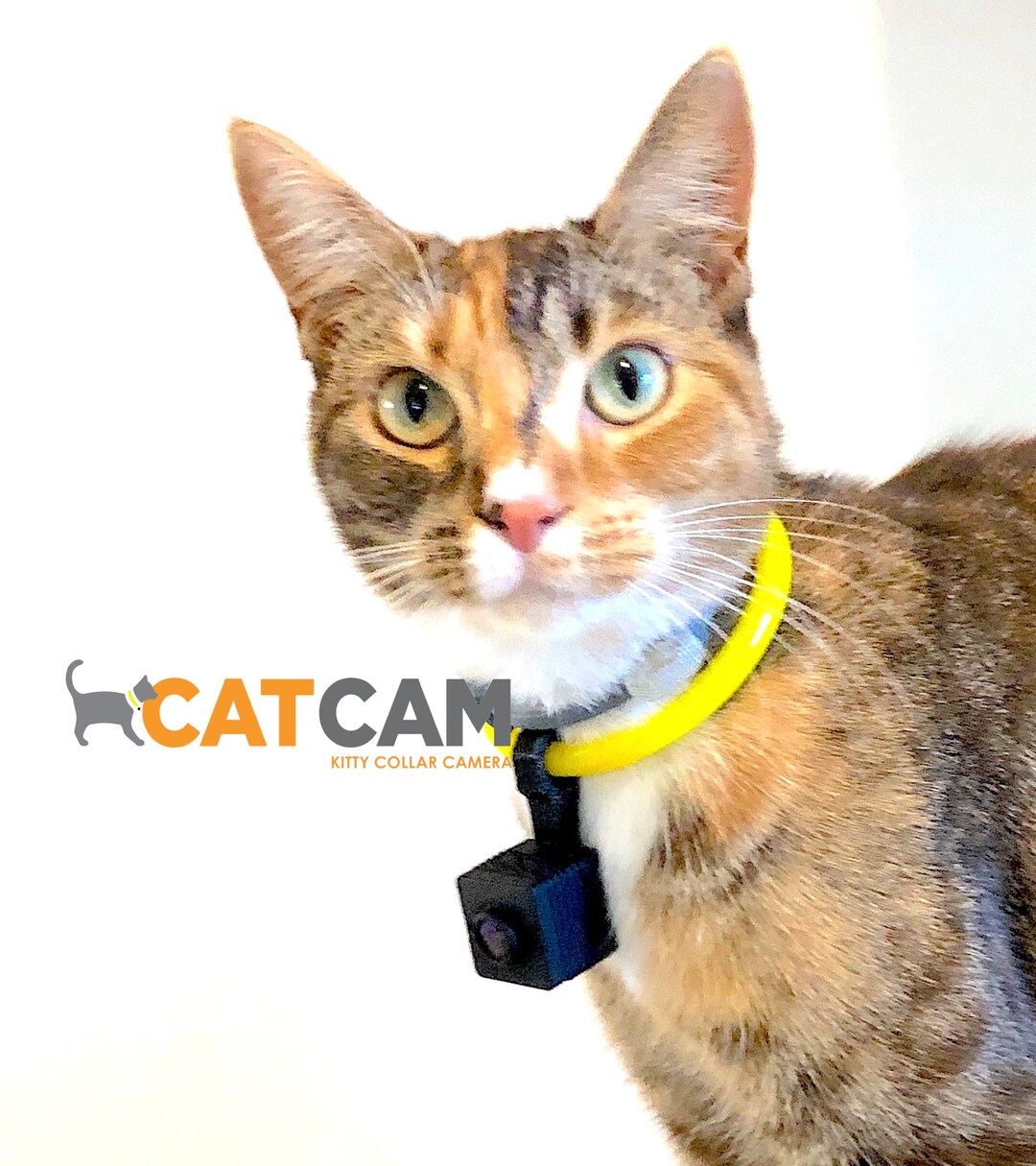 Cat Collar Camera With Pivot Clip for Wearable POV CAT CAM - Etsy Cat Collar Camera With Pivot Clip for Wearable POV CAT CAM - Etsy