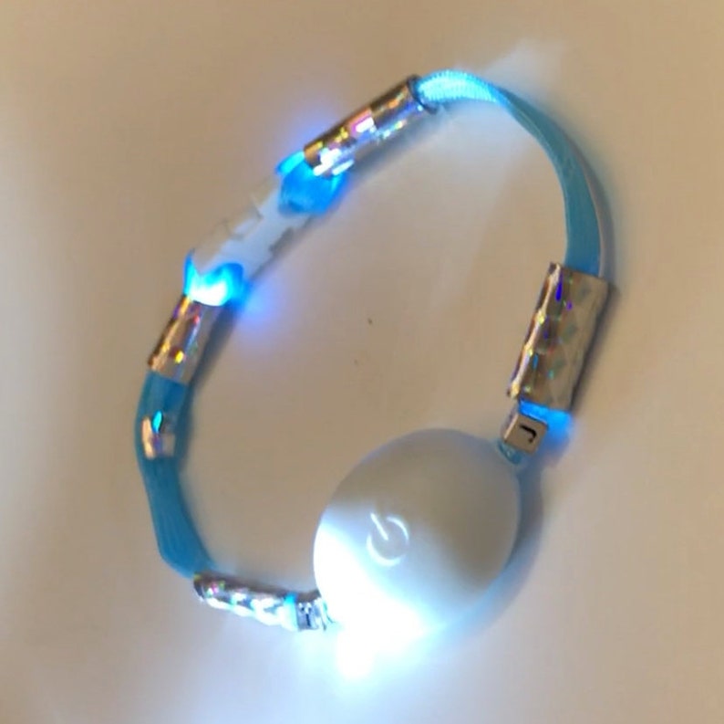Light up Cat Collar W Glow in the Dark Breakaway Buckle Bird Etsy UK