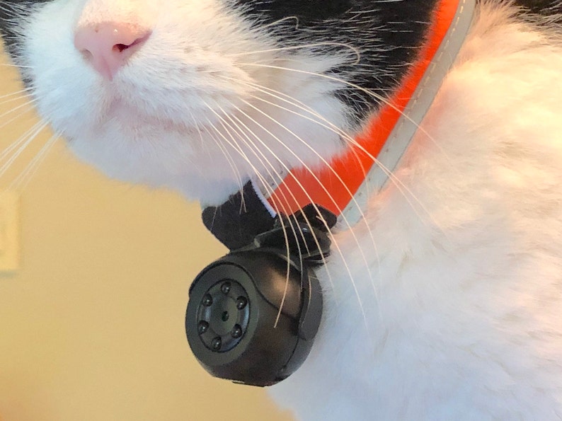 Cat Collar Camera a new round pet video camera for cats Etsy