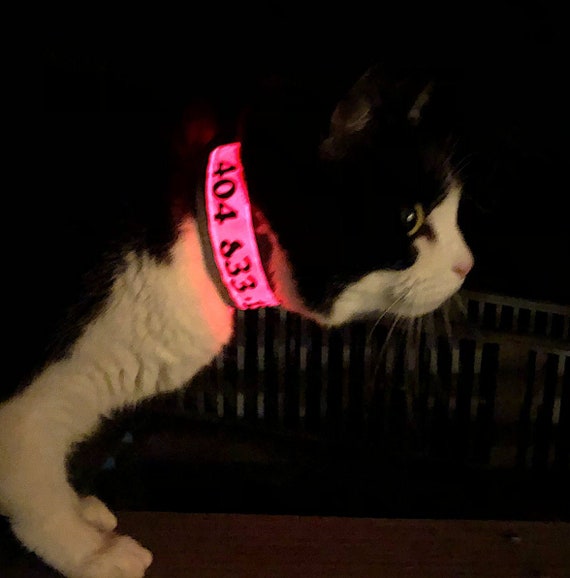 light up cat collar