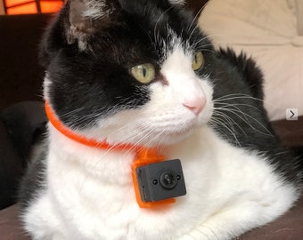 Cat Camera With Adjustable Collar Mount to Keep Footage Steady - Etsy Israel
