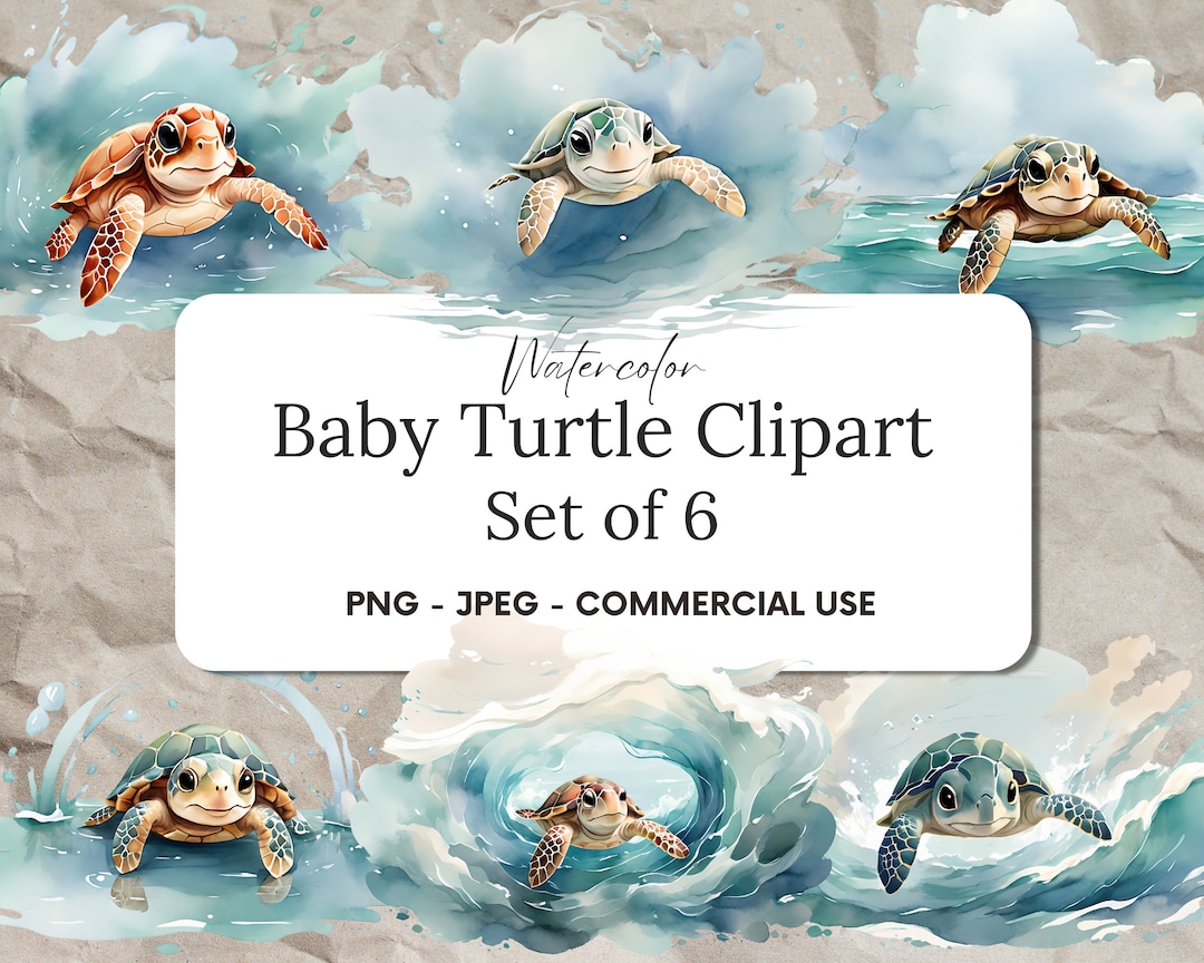 Watercolor Baby Turtle Clipart: Sea Life PNG Set, Ocean Nursery Digital ...