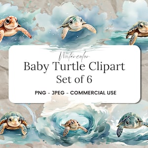 Watercolor Baby Turtle Clipart: Sea Life PNG Set, Ocean Nursery Digital ...