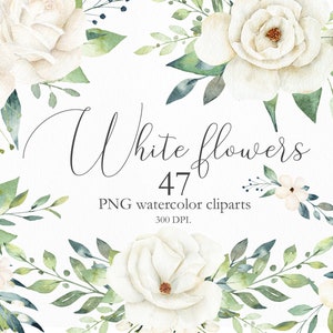 Watercolor White Flowers and Greenery Leaves, Wedding Invitation Clip Art, 47 Clipart Floral Elements, Botanical PNG Illustration, C013 image 1