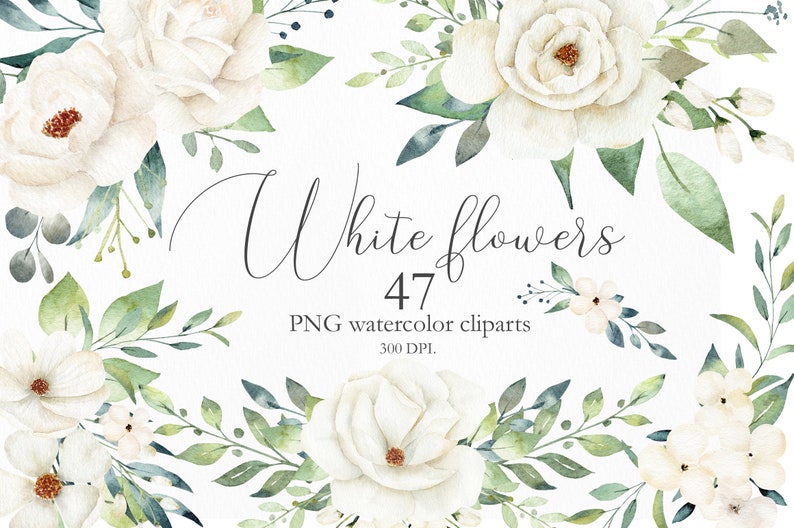 Watercolor White Flowers and Greenery Leaves, Wedding Invitation Clip Art, 47 Clipart Floral Elements, Botanical PNG Illustration, C013 image 1