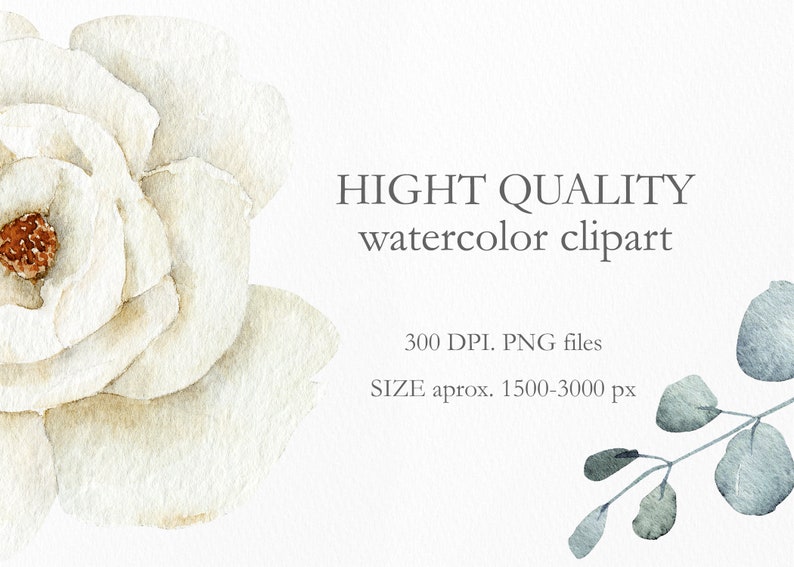 Watercolor White Flowers and Greenery Leaves, Wedding Invitation Clip Art, 47 Clipart Floral Elements, Botanical PNG Illustration, C013 image 5