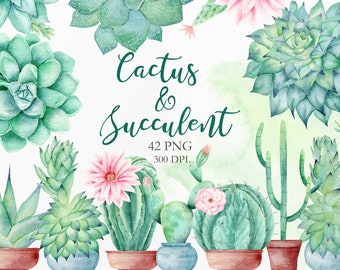 Watercolor Cactus and Succulent Clipart. Digital Tropic Exotic Plants and Flower. Summer Clipart for Wedding Invitation, DIY. PNG Files.