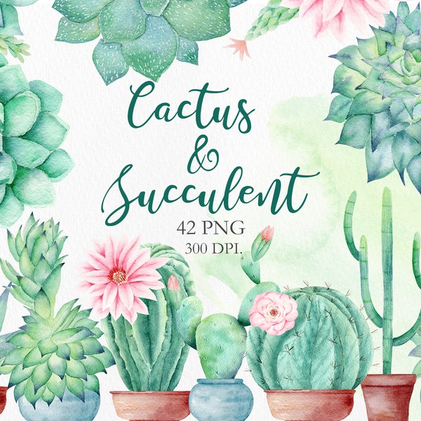 Watercolor Cactus and Succulent Clipart. Digital Tropic Exotic Plants and Flower. Summer Clipart for Wedding Invitation, DIY. PNG Files.