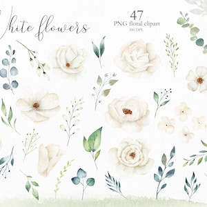 Watercolor White Flowers and Greenery Leaves, Wedding Invitation Clip Art, 47 Clipart Floral Elements, Botanical PNG Illustration, C013 image 2