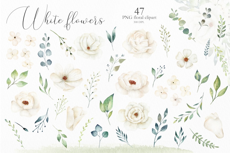 Watercolor White Flowers and Greenery Leaves, Wedding Invitation Clip Art, 47 Clipart Floral Elements, Botanical PNG Illustration, C013 image 2