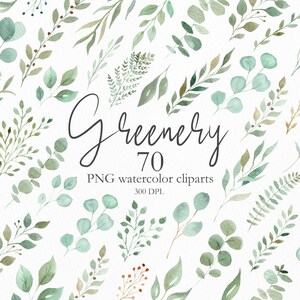 Clipart de folhagens de aquarela, Clip Art de folhagens de eucalipto verde, Clipart de folhas de folhagens, Design de cartão de convite de casamento moderno. C011