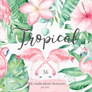 Watercolor Tropical Leaves Clipart. Monstera, Hibiscus, Pink Parrot, Flamingo Clipart. Jungle Flowers Clipart. Exotic Summer Clip Art. CA01