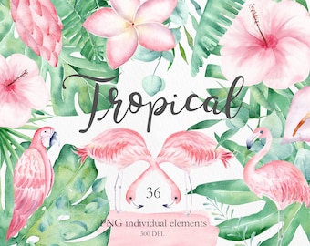 Watercolor Tropical Leaves Clipart. Monstera, Hibiscus, Pink Parrot, Flamingo Clipart. Jungle Flowers Clipart. Exotic Summer Clip Art. CA01