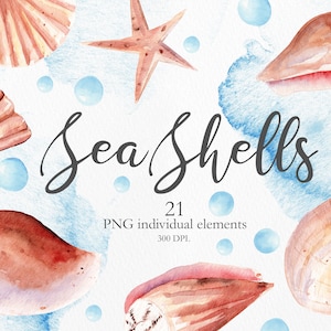 Watercolor Seashell Clip Art, Summer Sea Shells Clipart, Hand Painted Starfish, Beach Clipart for Invitations, DIY, Travel Graphics. CA001