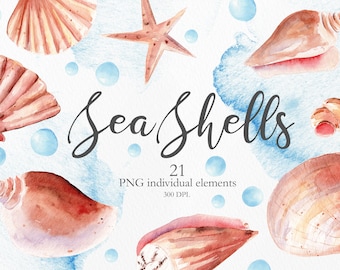 Watercolor Seashell Clip Art, Summer Sea Shells Clipart, Hand Painted Starfish, Beach Clipart for Invitations, DIY, Travel Graphics. CA001