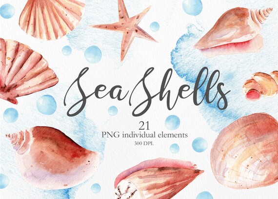 Watercolor Seashell Clip Art, Summer Sea Shells Clipart, Hand Painted Starfish, Beach Clipart for Invitations, DIY, Travel Graphics. CA001
