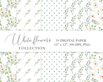 Papel digital de primavera floral blanco, flores y vegetación patrón sin costuras, clipart botánico, fondo floral, archivos PNG transparentes. C011