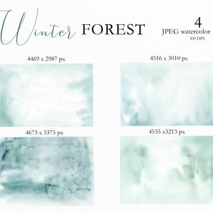 May include: Four JPEG watercolour textures with a winter forest theme. The textures are in shades of teal and white, with varying levels of detail and opacity. The image includes the text "Winter FOREST" and the dimensions of each texture.