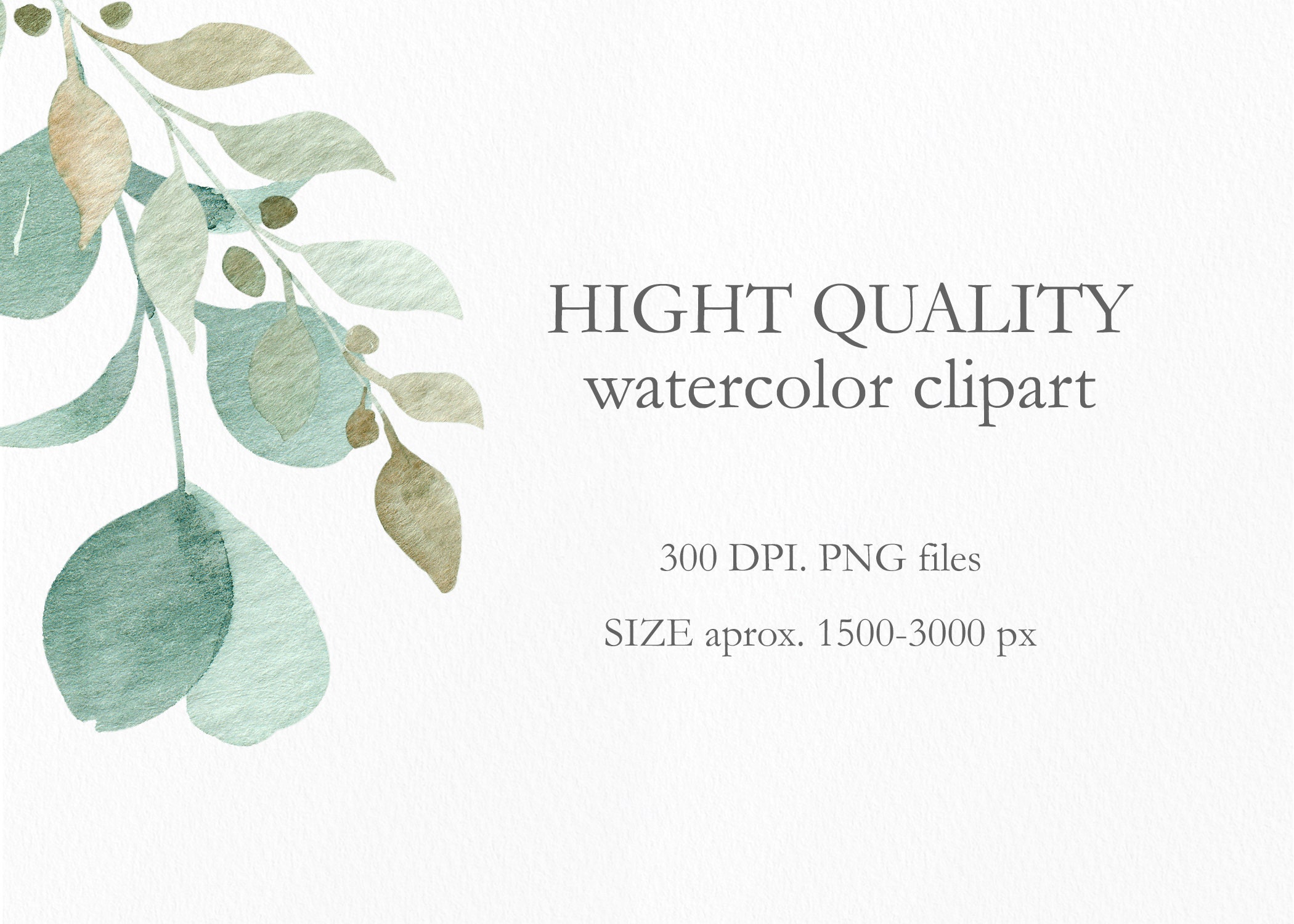 Watercolor Greenery Clipart, Green Eucalyptus Foliage Clip Art ...