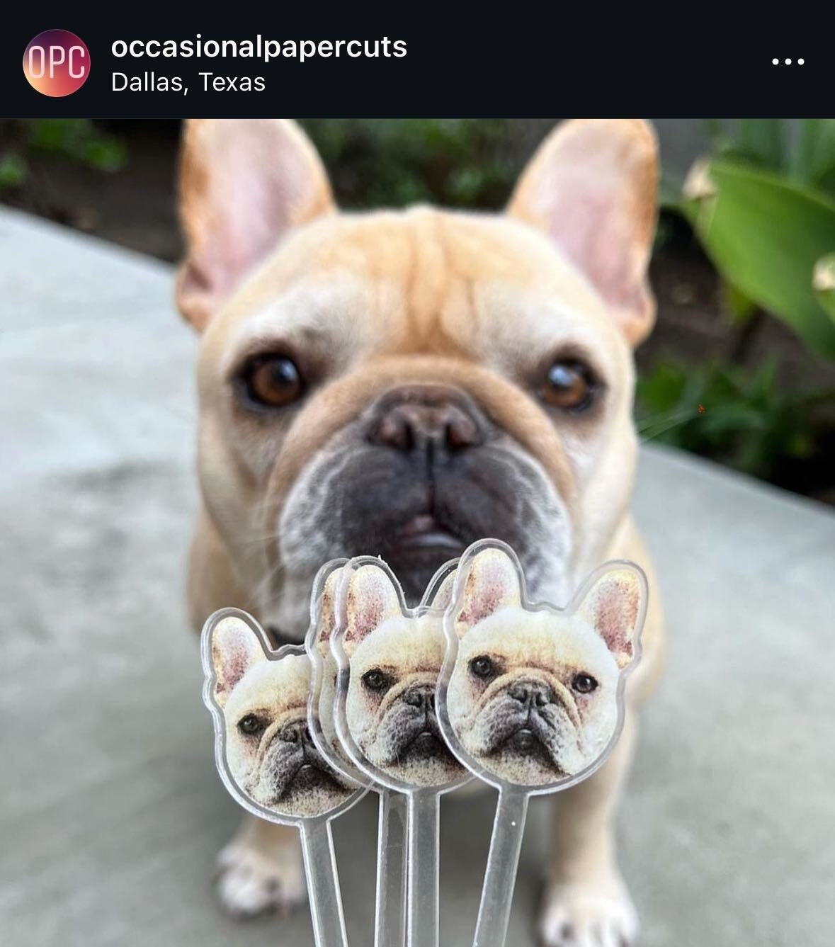 Print YOUR Dog Pet Stir Sticks, 2-sided Signature Drink, I Do Too & Dog Of Honor, Watercolor Acrylic Cocktail Stirrers, Wedding Swizzle