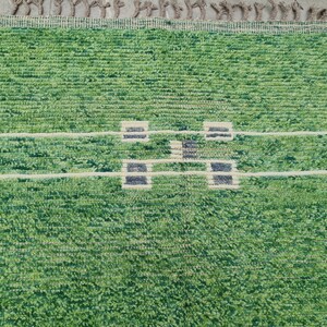 Puede incluir: Una alfombra verde y blanca con una superficie texturizada. La alfombra presenta un patr&oacute;n repetitivo de formas rectangulares en tonos de verde, blanco, beige y azul marino. El borde de la alfombra tiene flecos.