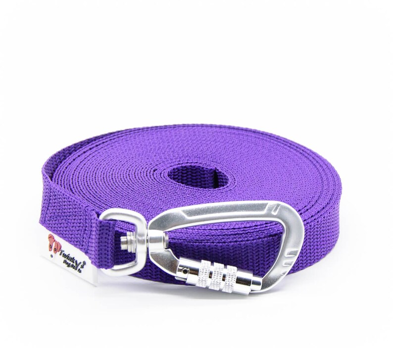 Puede incluir: Correa retr&aacute;ctil para perro de color morado con un mosquet&oacute;n plateado. La correa est&aacute; enrollada y la marca "Totally Tails" es visible en la correa.