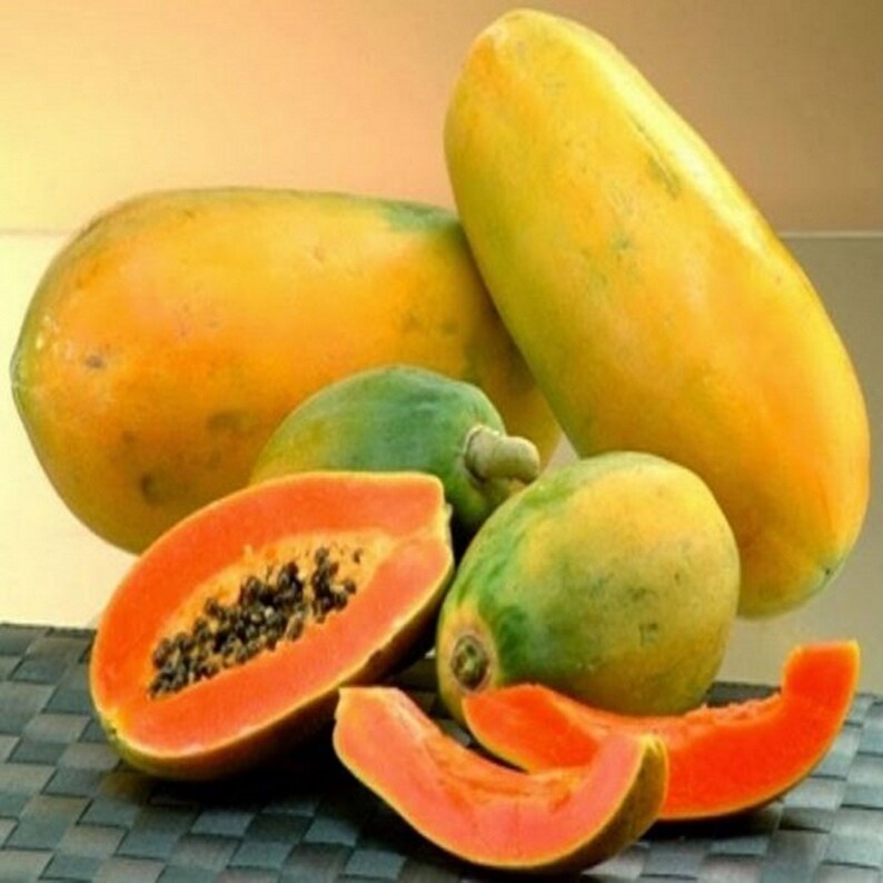 100g Organic Papaya Powder Natural Sun Dried Papaya Fruit Etsy