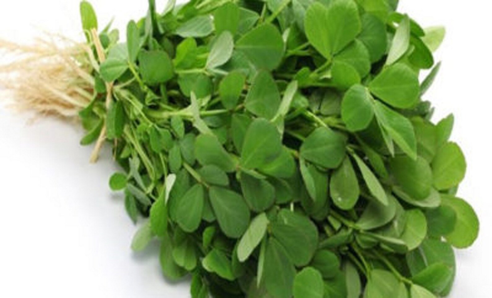 100g Certified Organic Fenugreek Methi Leaf Powder colon Etsy