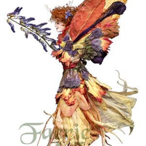 Fées de fleurs, Art de Zella, 5X7 Fairy Note Cards avec enveloppes, Oeillet « Malora », Fées des jardins et des forêts
