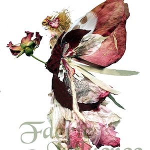 Fées de fleurs, Art de Zella, 5X7 Cartes de billets de fées avec enveloppes, rose « Caitrin », jardin et fées de la forêt