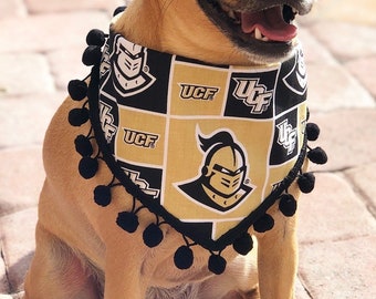 ucf dog jersey