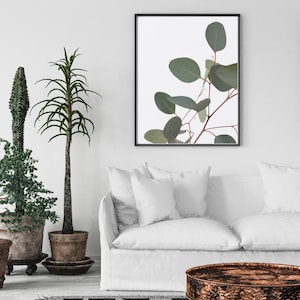 Eucalyptus Print, botanical print, native Australian flowers, botanical photograph, colourful wall art, plant poster, plant print, leaves