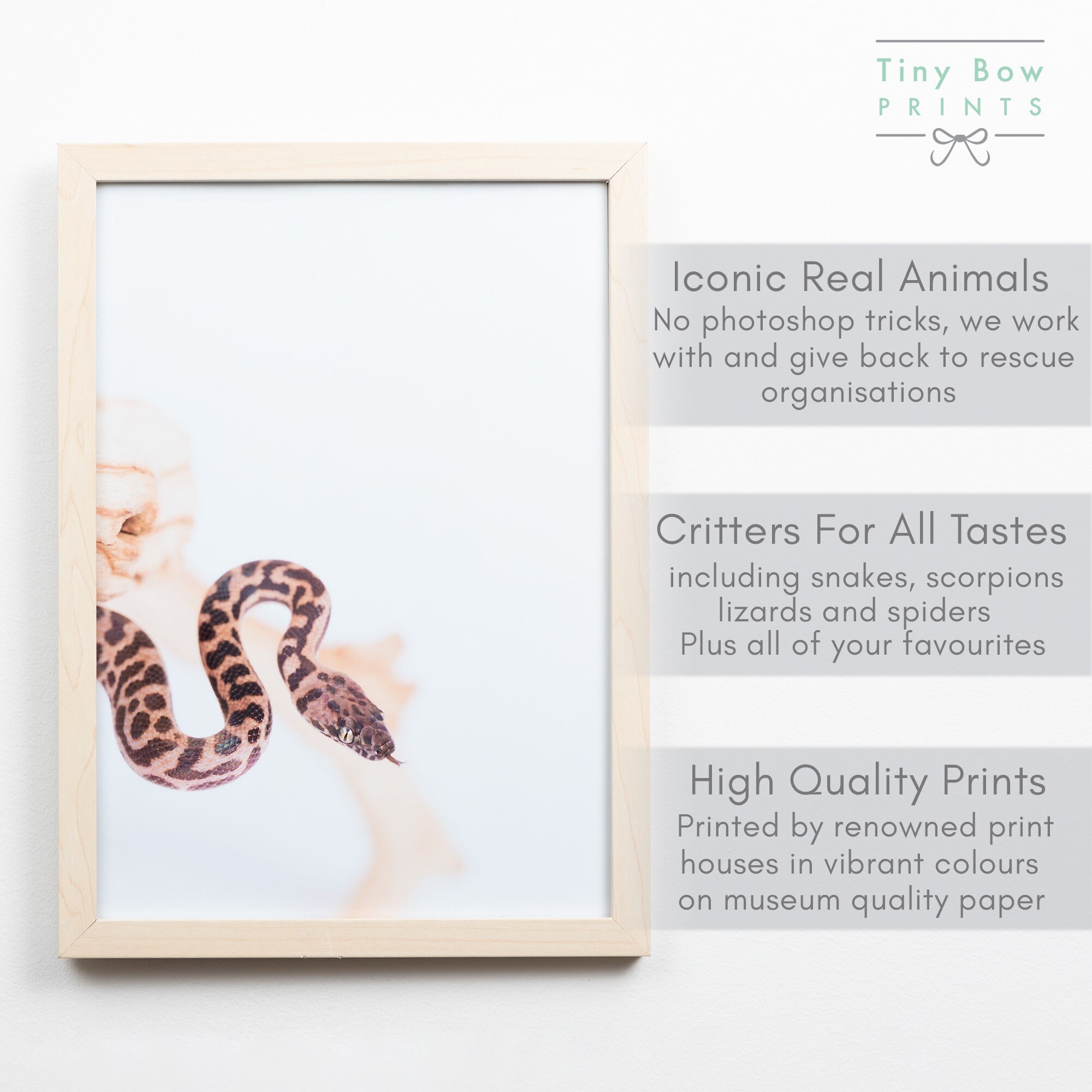 Spotted Python, Snake Print, Reptile Print Kids Wall Art, Printed and ...