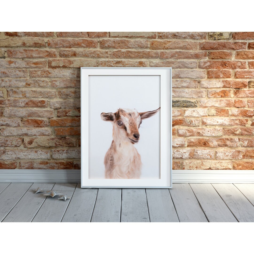 Baby Goat Print Kids Wall Art Farm Yard Animal Nursery Art Etsy