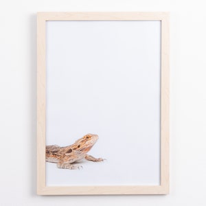 Bearded Dragon Print, Reptile, Lizard Print, Kids Wall Art, Digital Print, Nursery Wall Art, Australian Animal Prints, Zoo Animal Nursery