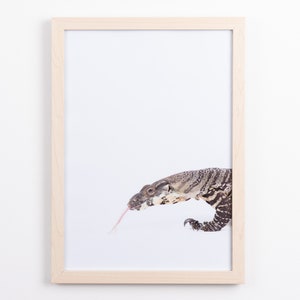 kids lizard print, reptile, kids room decor, digital print, animal prints, kids wall art, kids print, childrens wall art, Tiny Bow Prints